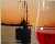 Wine&Sail - Vino&Vela